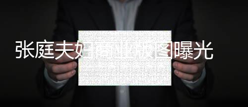 版图曝光庭相张庭 张关公夫妇阳关家 9家林瑞联6商业司有